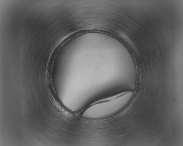 X0000067490876200604211656