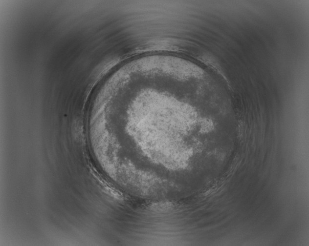 X0000067490882200604211656