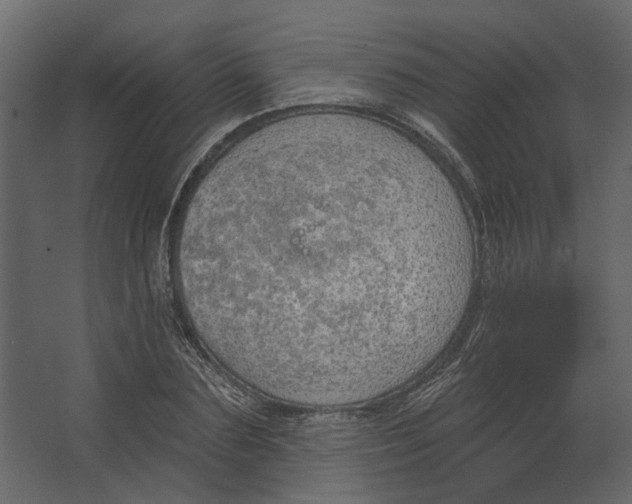 X0000067490883200604211656