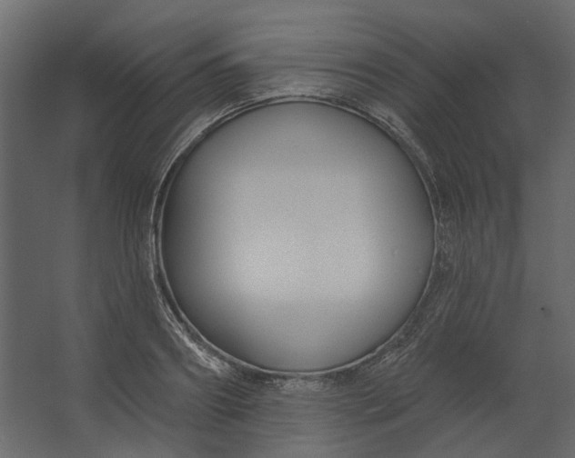 X0000067490890200604211656