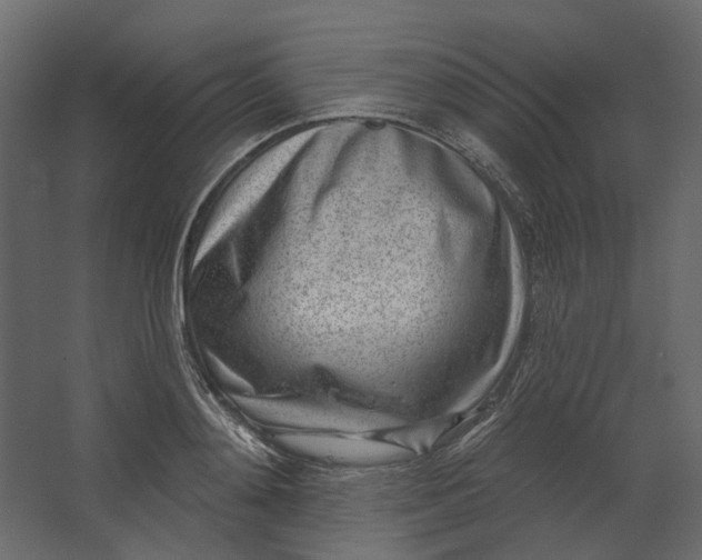 X0000067490892200604211656