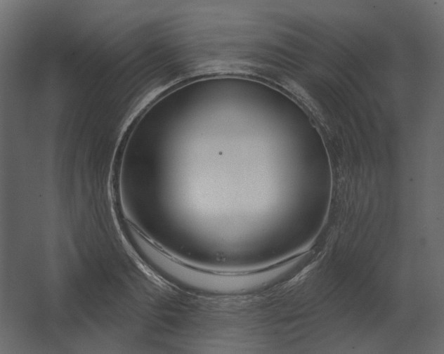 X0000067490893200604211656