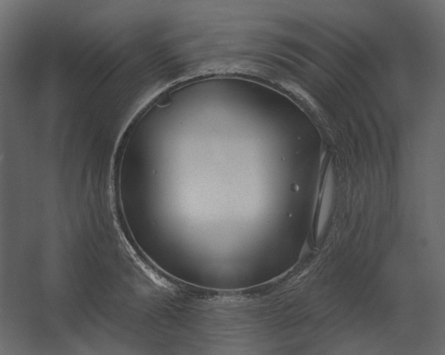 X0000067490894200604211656