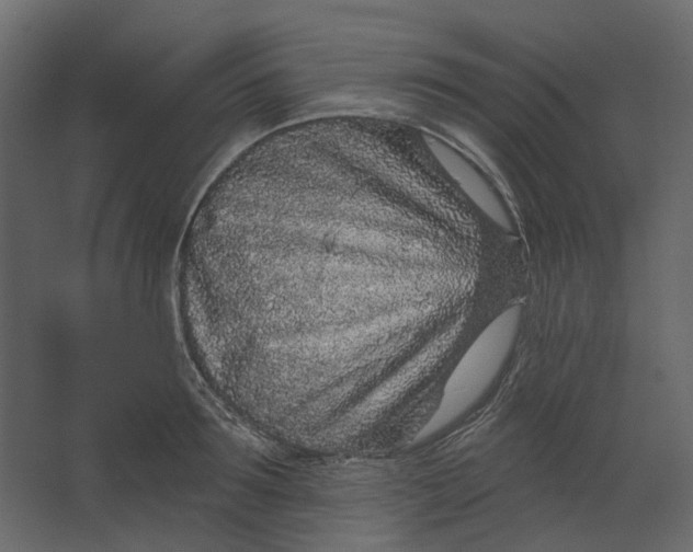 X0000067490899200604211656