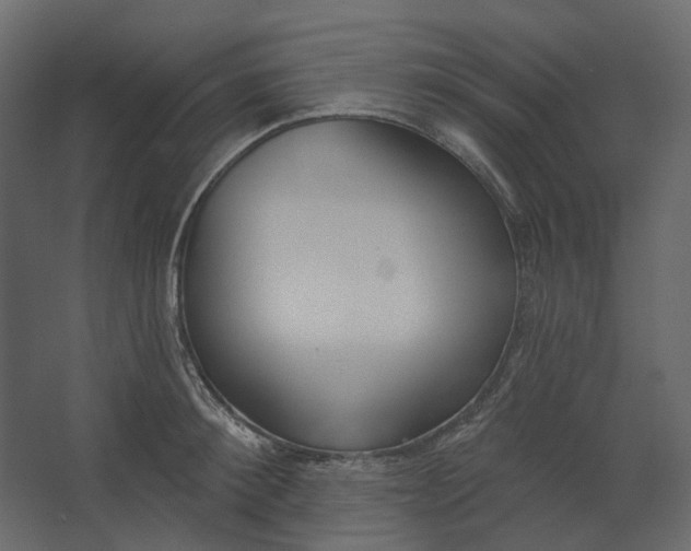 X0000067490900200604211656