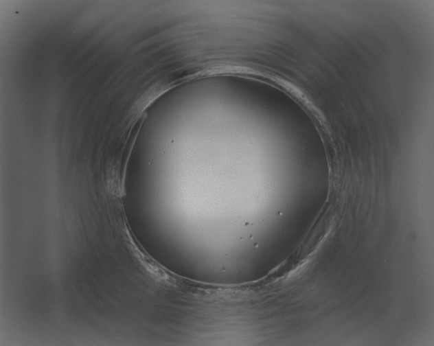 X0000067490905200604211656