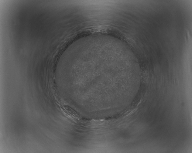 X0000067490913200604211655