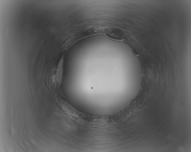 X0000067490914200604211655