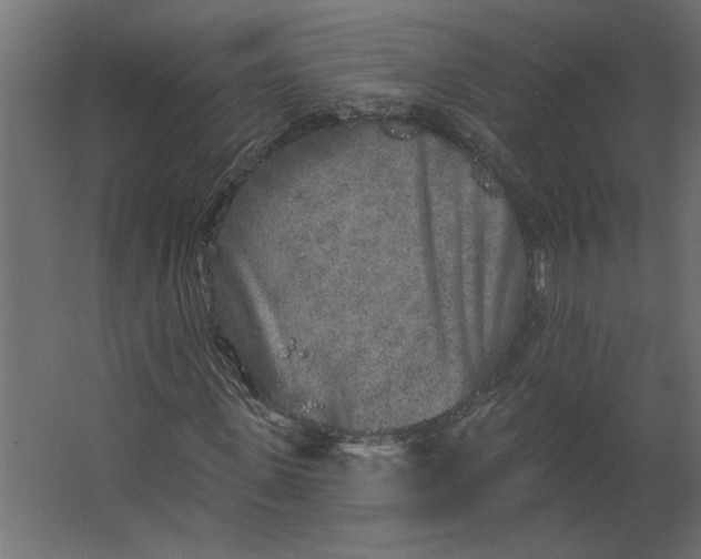 X0000067490915200604211655