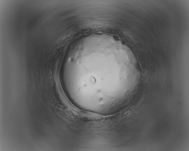 X0000067490917200604211655