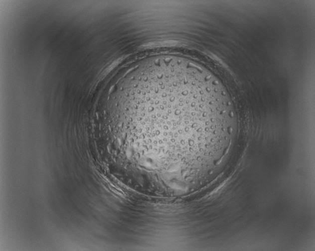 X0000067490921200604211655