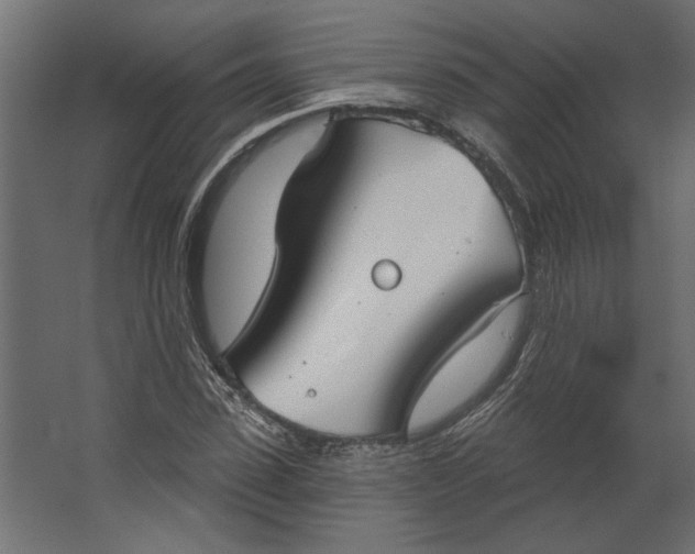 X0000067490923200604211655