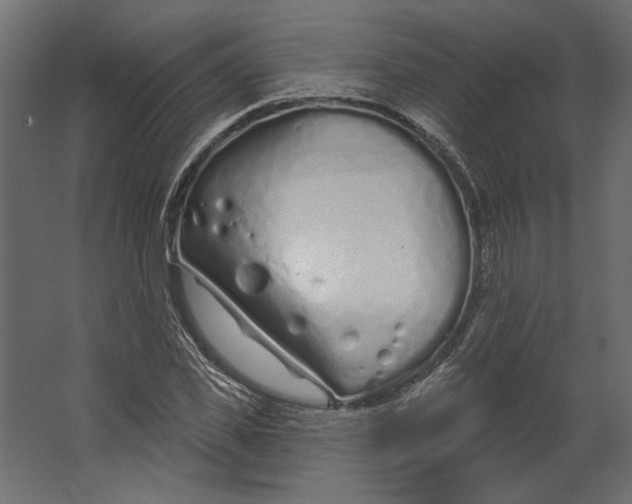 X0000067490925200604211655