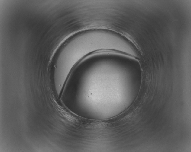 X0000067490926200604211655