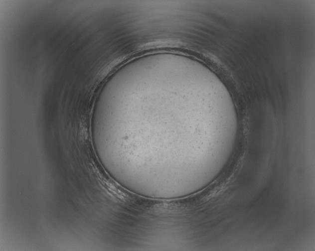 X0000067490929200604211655