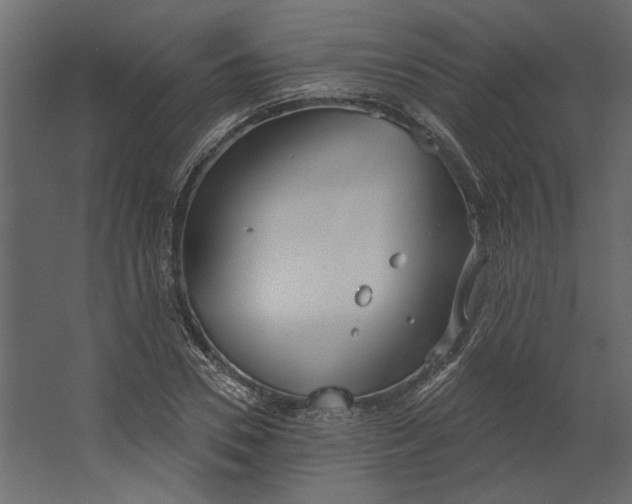 X0000067490930200604211655