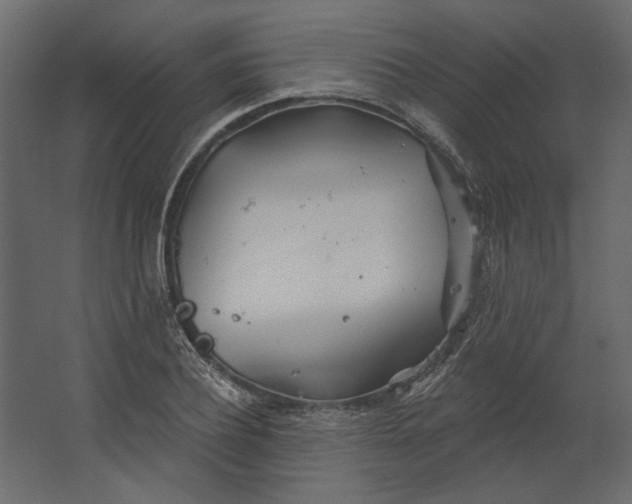 X0000067490932200604211655