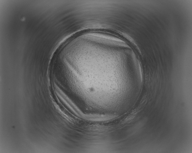 X0000067490935200604211655