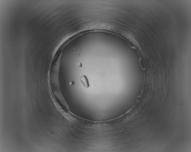 X0000067490936200604211655