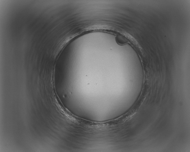 X0000067490937200604211655