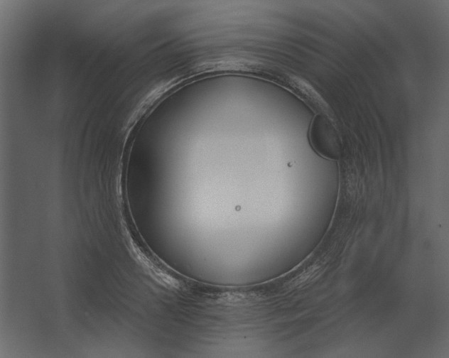 X0000067490938200604211655