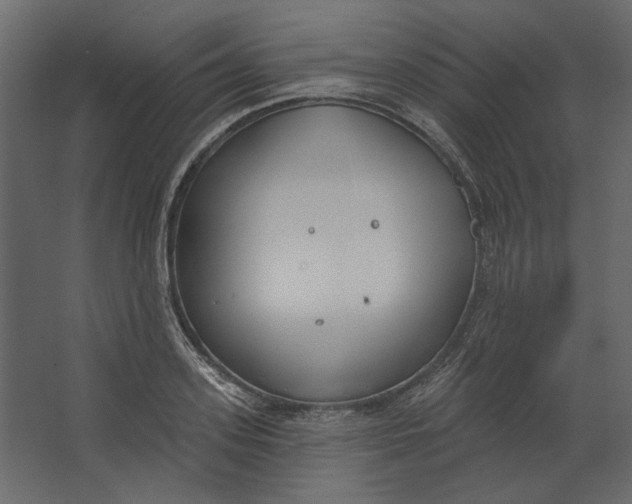 X0000067490939200604211655