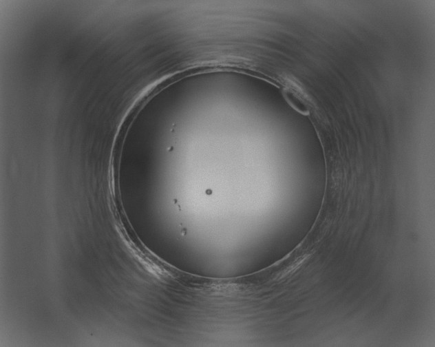 X0000067490940200604211655