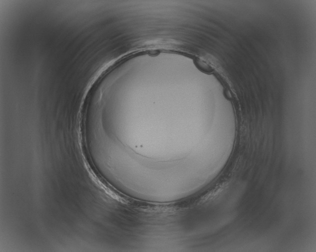 X0000067490941200604211655