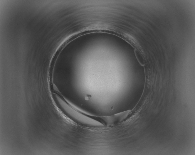 X0000067490942200604211655