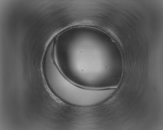 X0000067490944200604211655