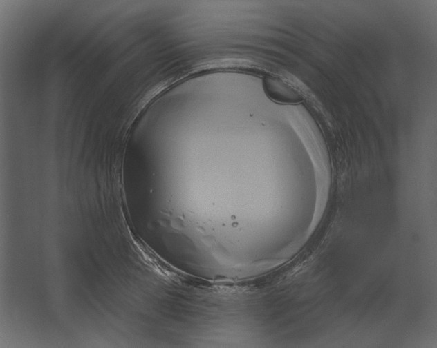 X0000067490945200604211655