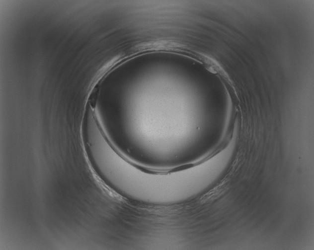 X0000067490946200604211655