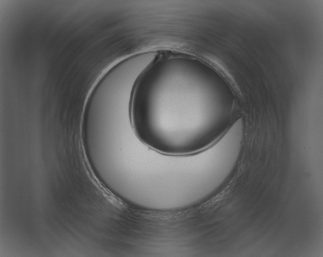 X0000067490948200604211655