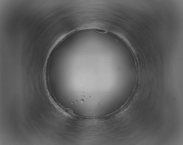 X0000067490949200604211655