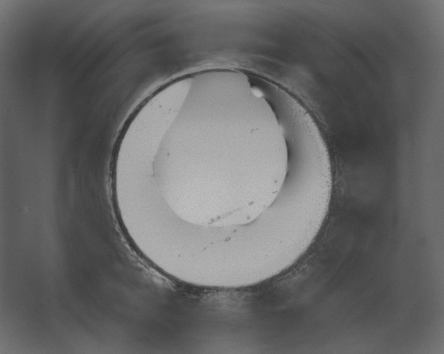 X0000067490950200604211655