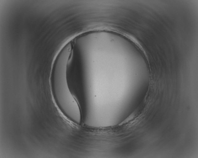 X0000067490951200604211655