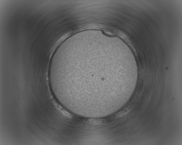 X0000067490954200604211655