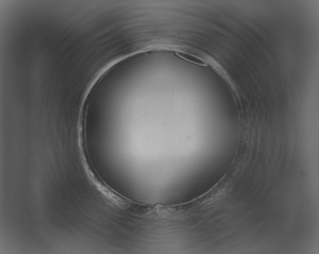 X0000067490955200604211655