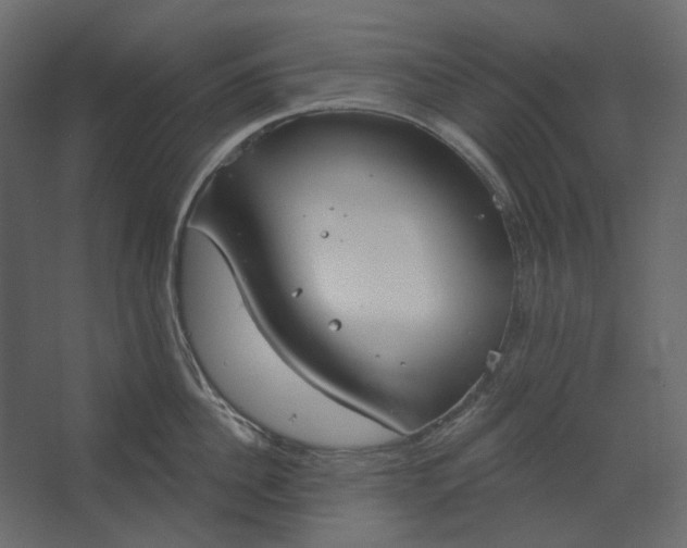 X0000067490956200604211655