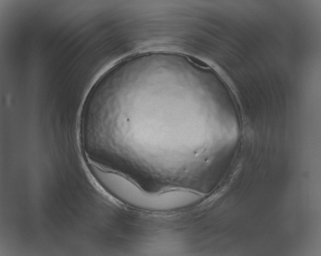 X0000067490957200604211655