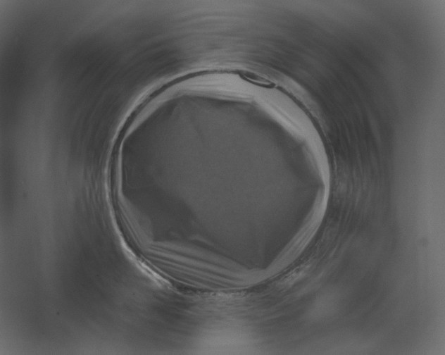 X0000067490958200604211655