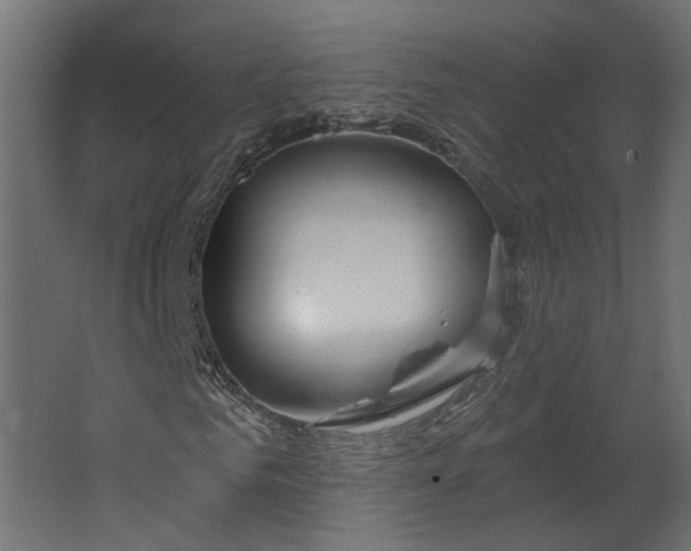 X0000067490961200604211655