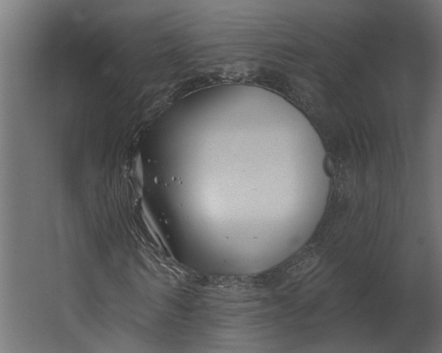 X0000067490962200604211655