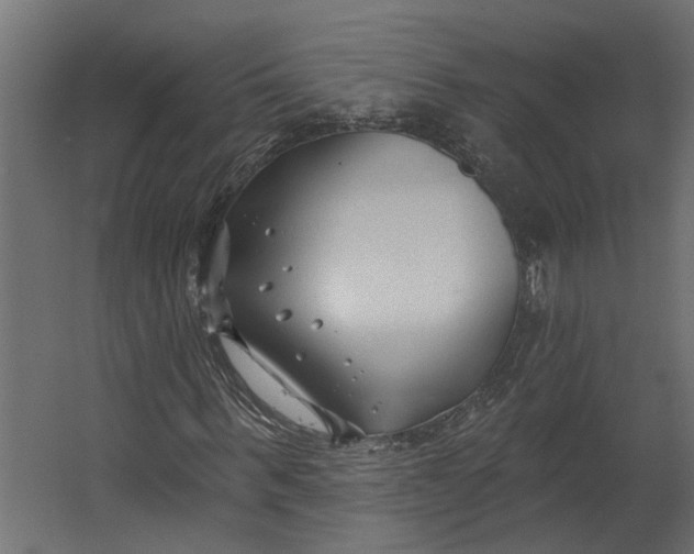 X0000067490963200604211655