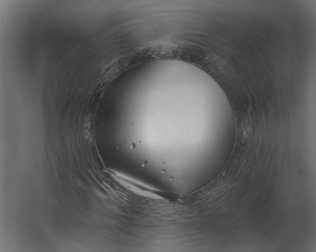 X0000067490964200604211655