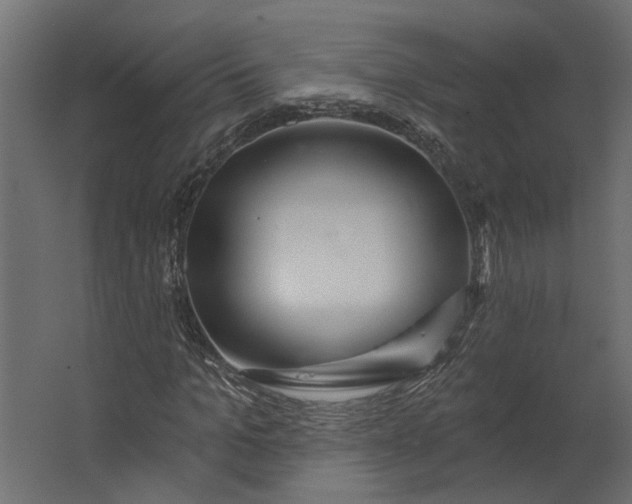 X0000067490965200604211655