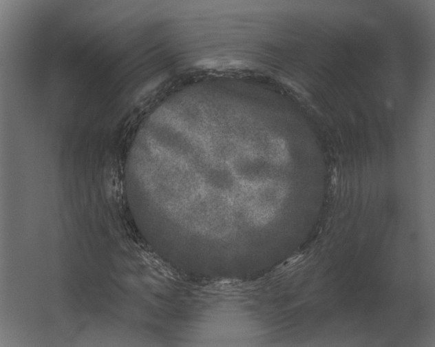 X0000067490966200604211655