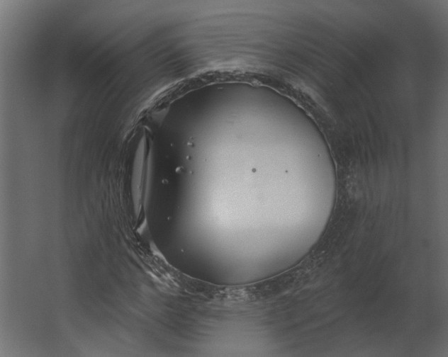 X0000067490968200604211655