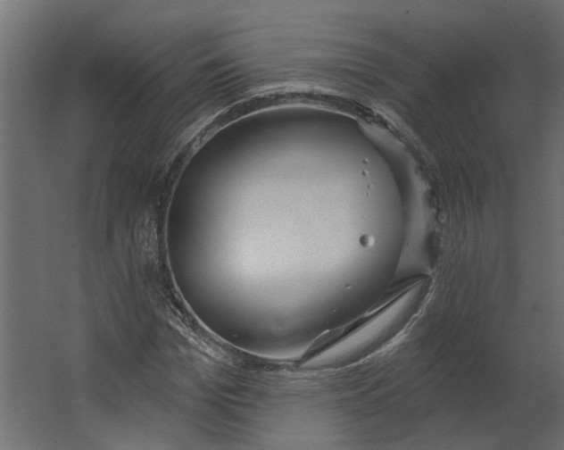 X0000067490969200604211655