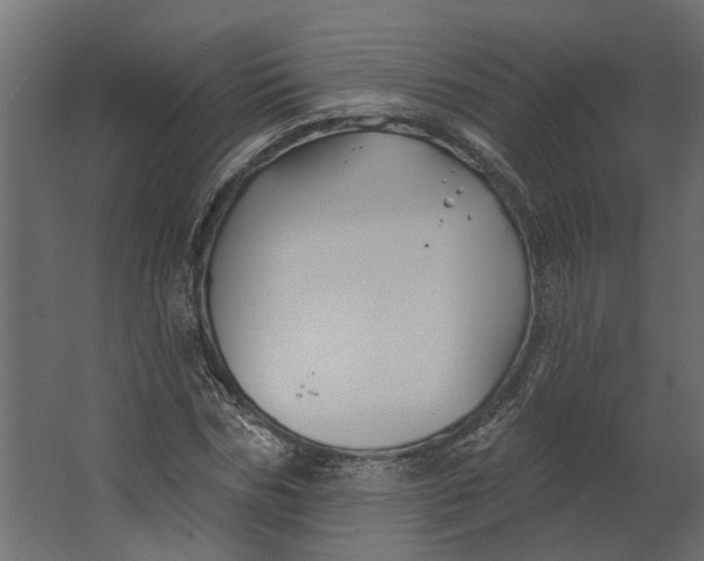 X0000067490970200604211655